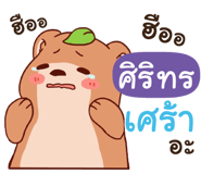 844854375