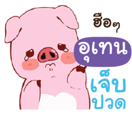 844857116