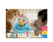 844857911
