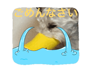 844858005