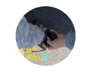 844858010
