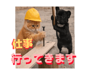 844858546