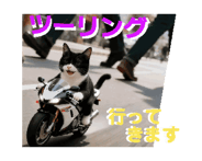 844858556