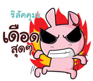 844860008