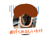 844862331