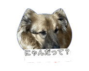 844862332