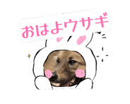 844862333