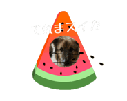 844862335