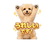 844862911