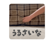 844862994