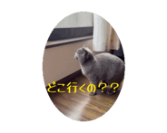 844862999