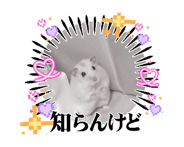 844863495