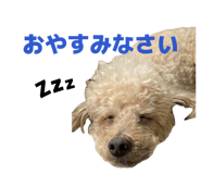 844866434