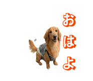 844866585