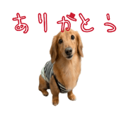 844866587
