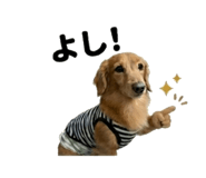 844866589