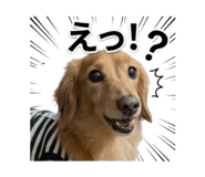 844866591