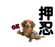 844866593