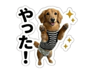 844866598