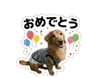 844866600