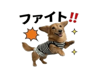 844866606