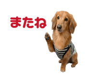 844866610