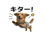 844866611