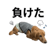844866616