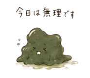 844866813