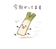 844866817