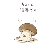 844866825
