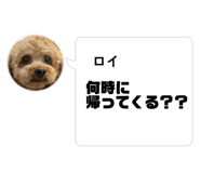 844866953