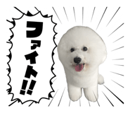 844867220
