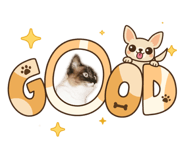 844867293