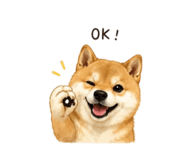 844874325