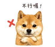 844874328