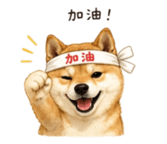 844874330