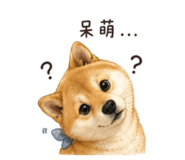 844874335
