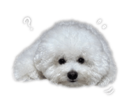 844874404