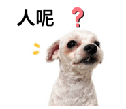 844874568