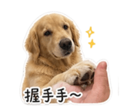 844874650