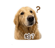 844874651