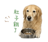 844874653