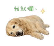 844874654