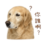 844874659