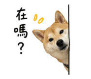 844875145