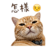844875443