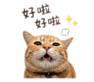 844875447