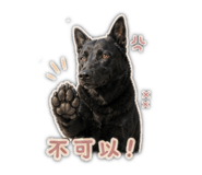 844875695