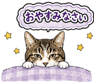 844876006